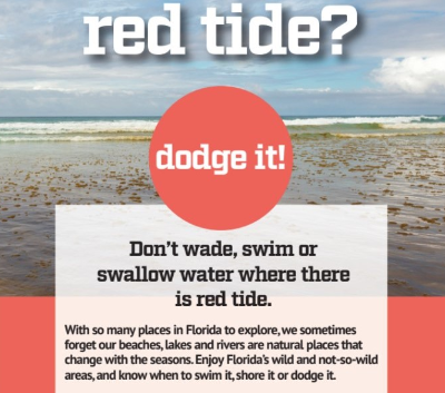 Red Tide? Dodge it! Don’t wade, swim or swallow water where there is red tide. With so many places in Florida to explore, we sometimes forget our beaches, lakes and rivers are natural places that change with the seasons. Enjoy Florida’s wild and not-so-wild areas, and know when to swim it, shore it or dodge it. 