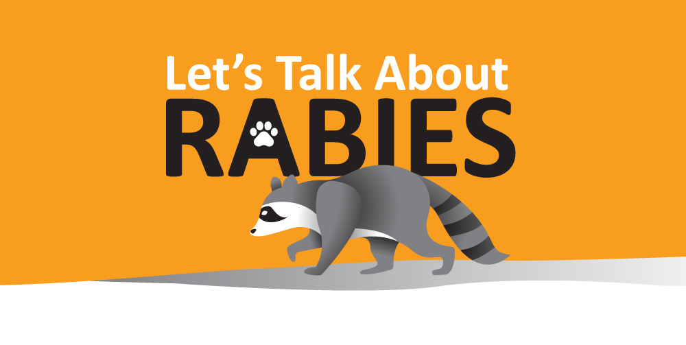 lets talk about rabies